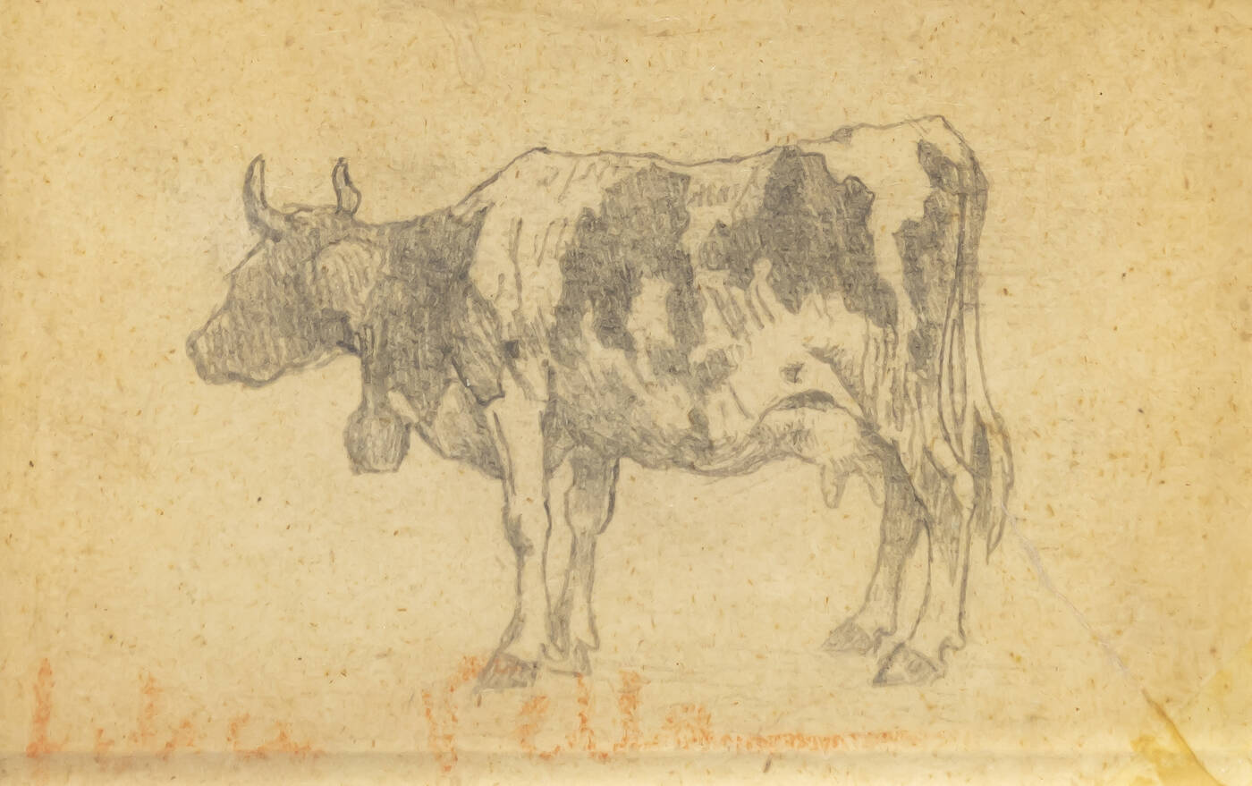 FELICE VELLAN - 'Mucca'