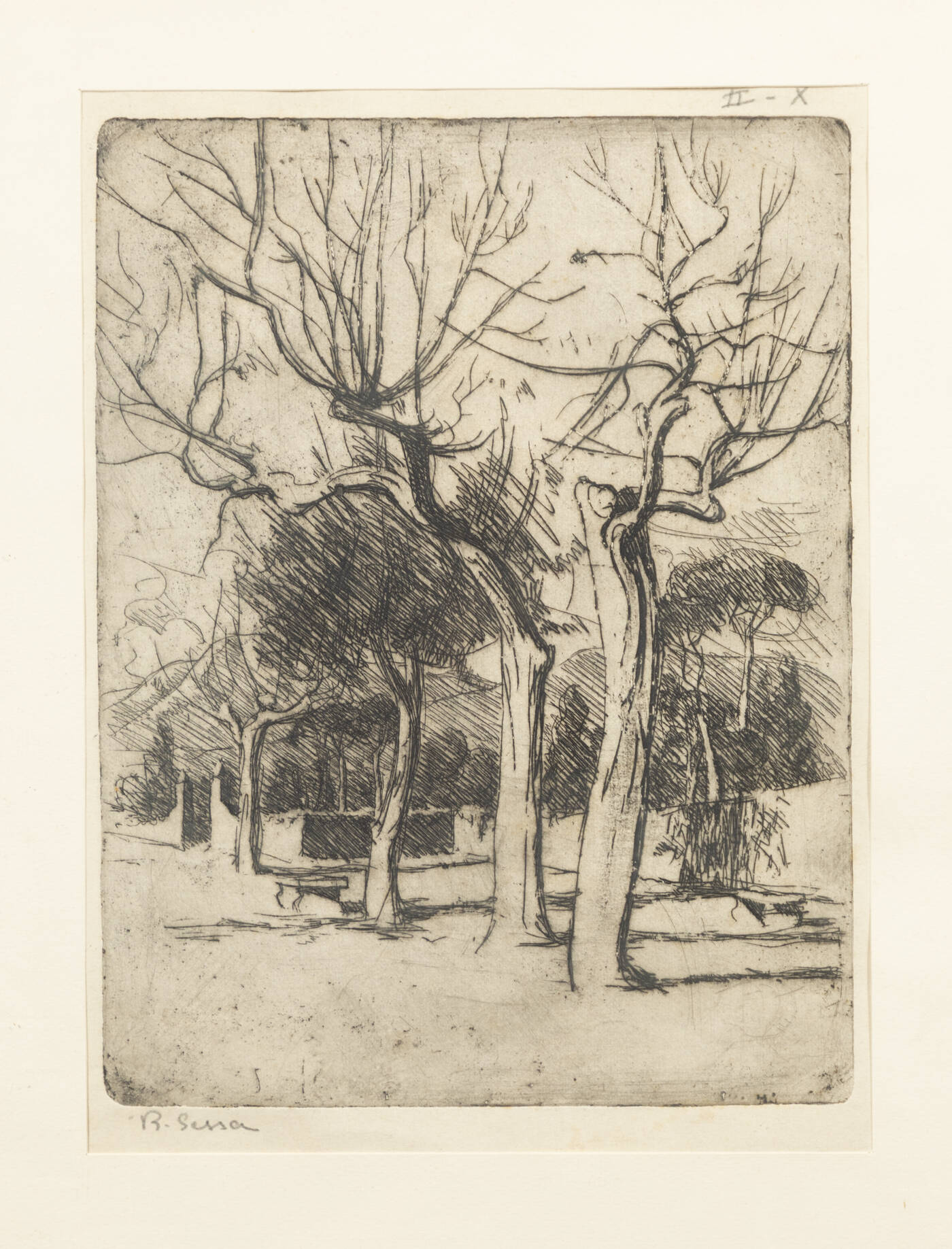 SESSA R. - 'Studio d'alberi' Capri