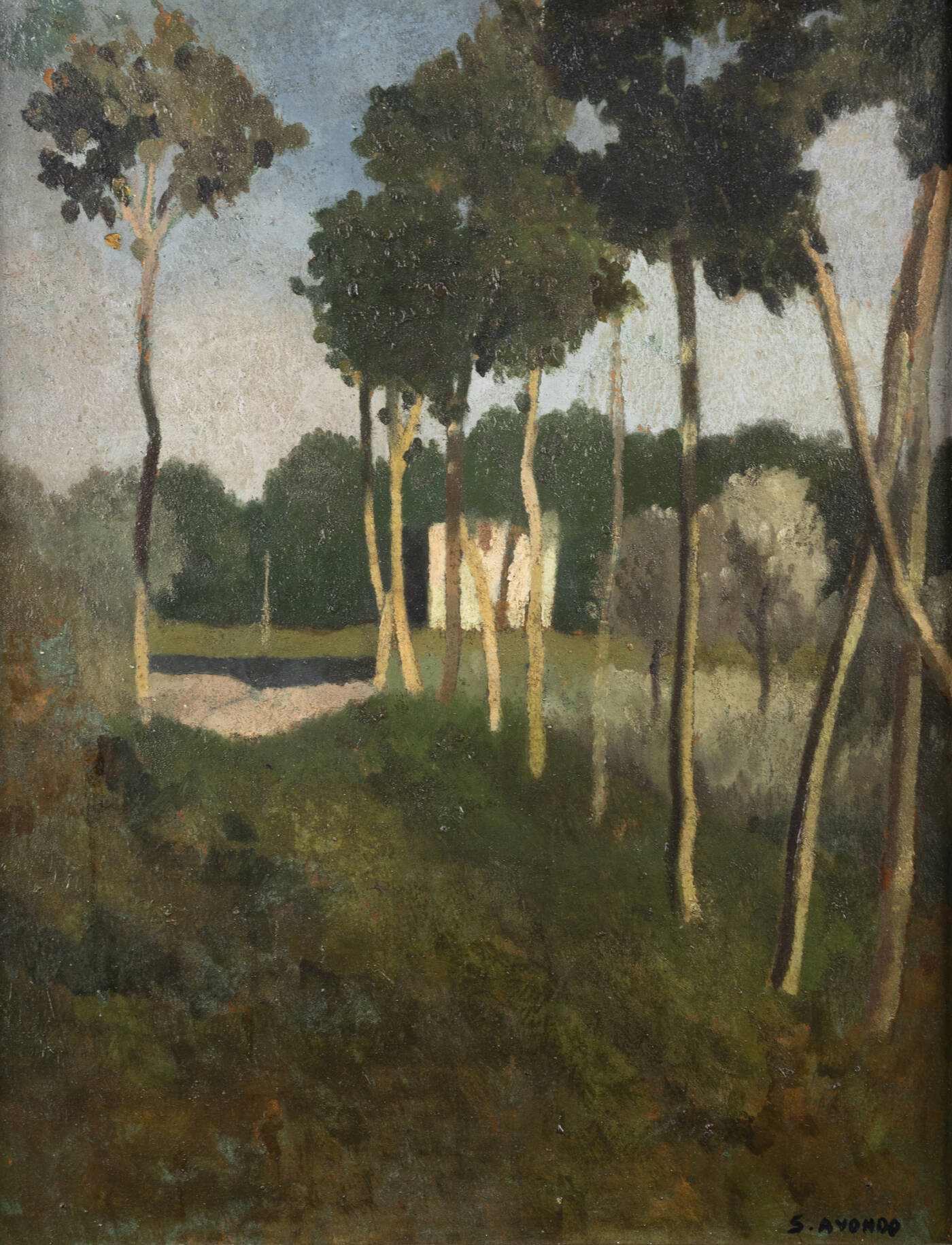 SILVIO AVONDO - 'Viale con alberi'