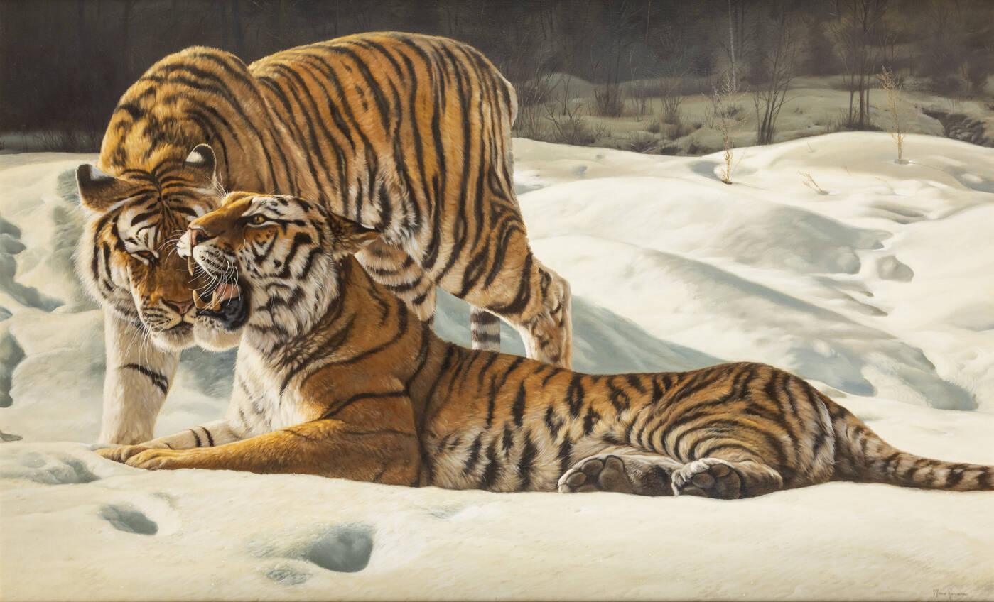 MARCO RAMASSO - 'Tigri siberiane'