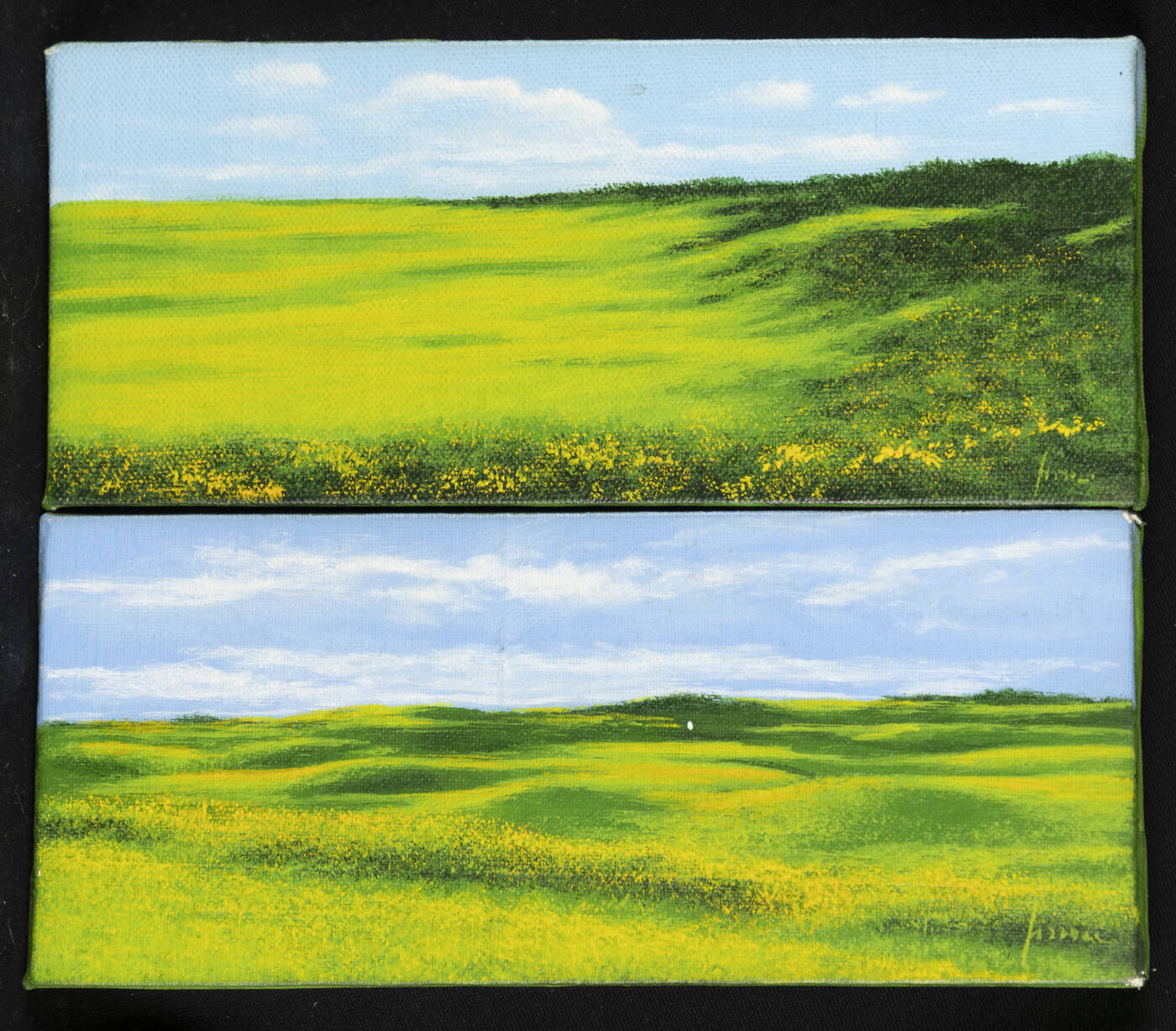 DANIELE FISSORE - a-'Green', 1989<br>b-'Green'1989