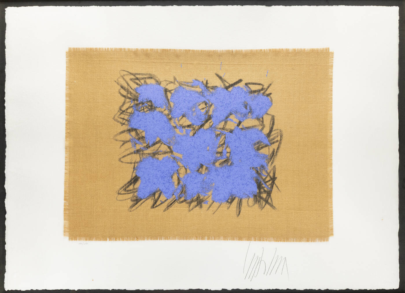 SALVATORE EMBLEMA - 'Fiori Vesuviani' , 2004