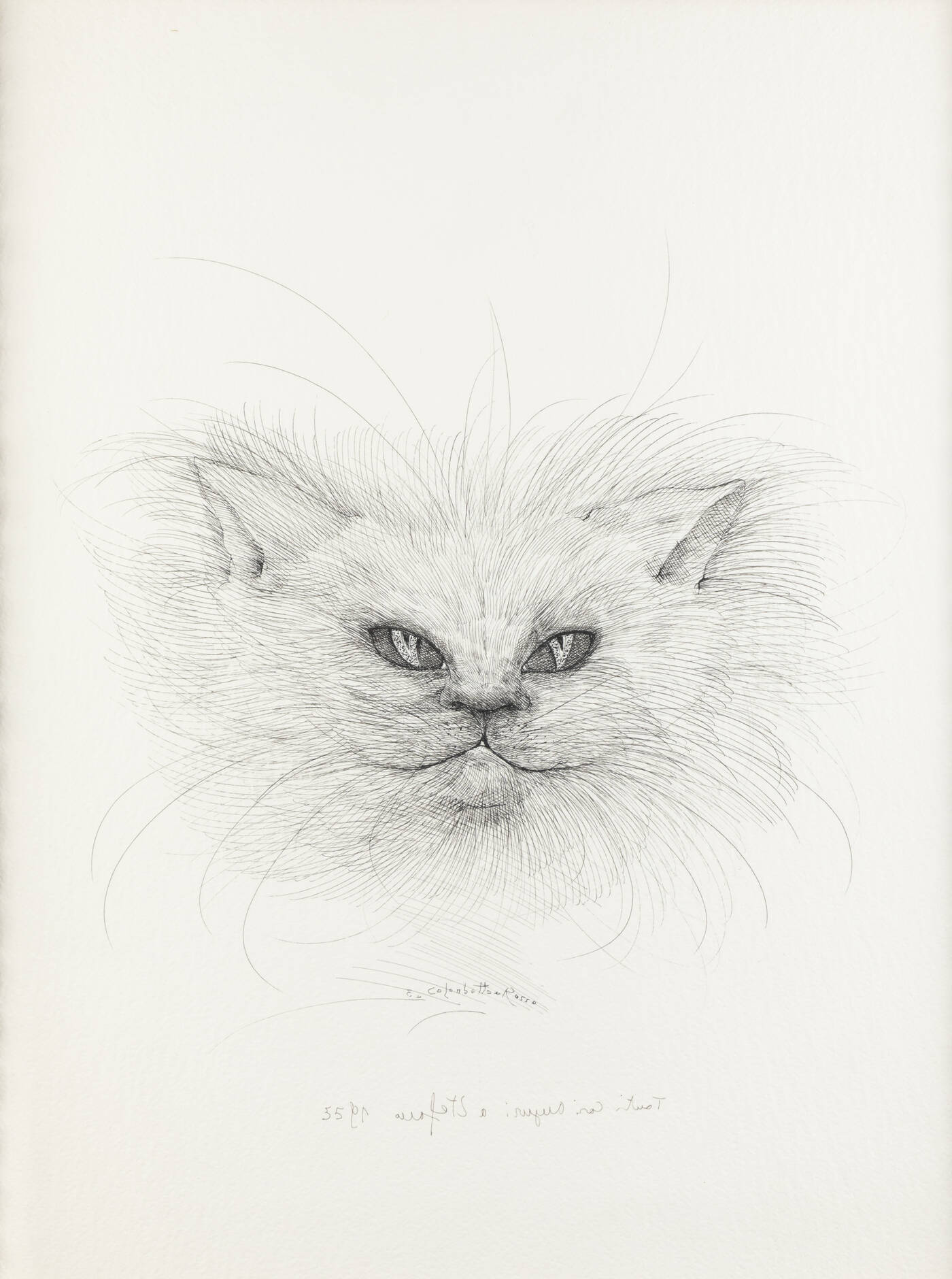 ENRICO COLOMBOTTO ROSSO - 'Gatto'
