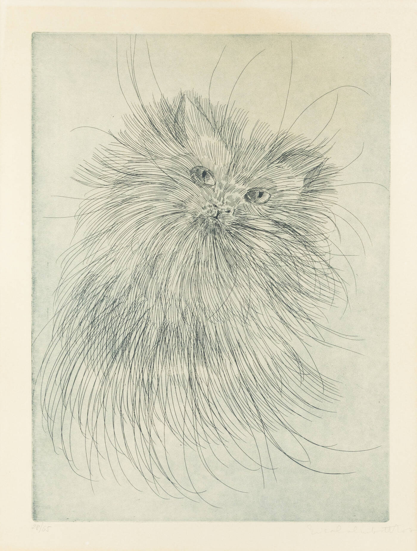 ENRICO COLOMBOTTO ROSSO - 'Gatto'