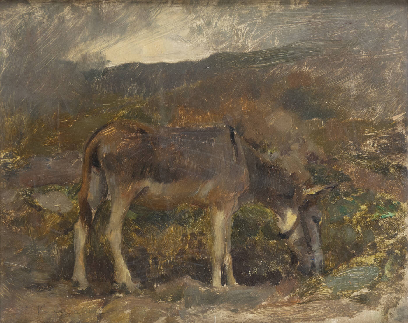 VITTORIO CAVALLERI - '(Frassineto) Asino sull'altopiano' 1906