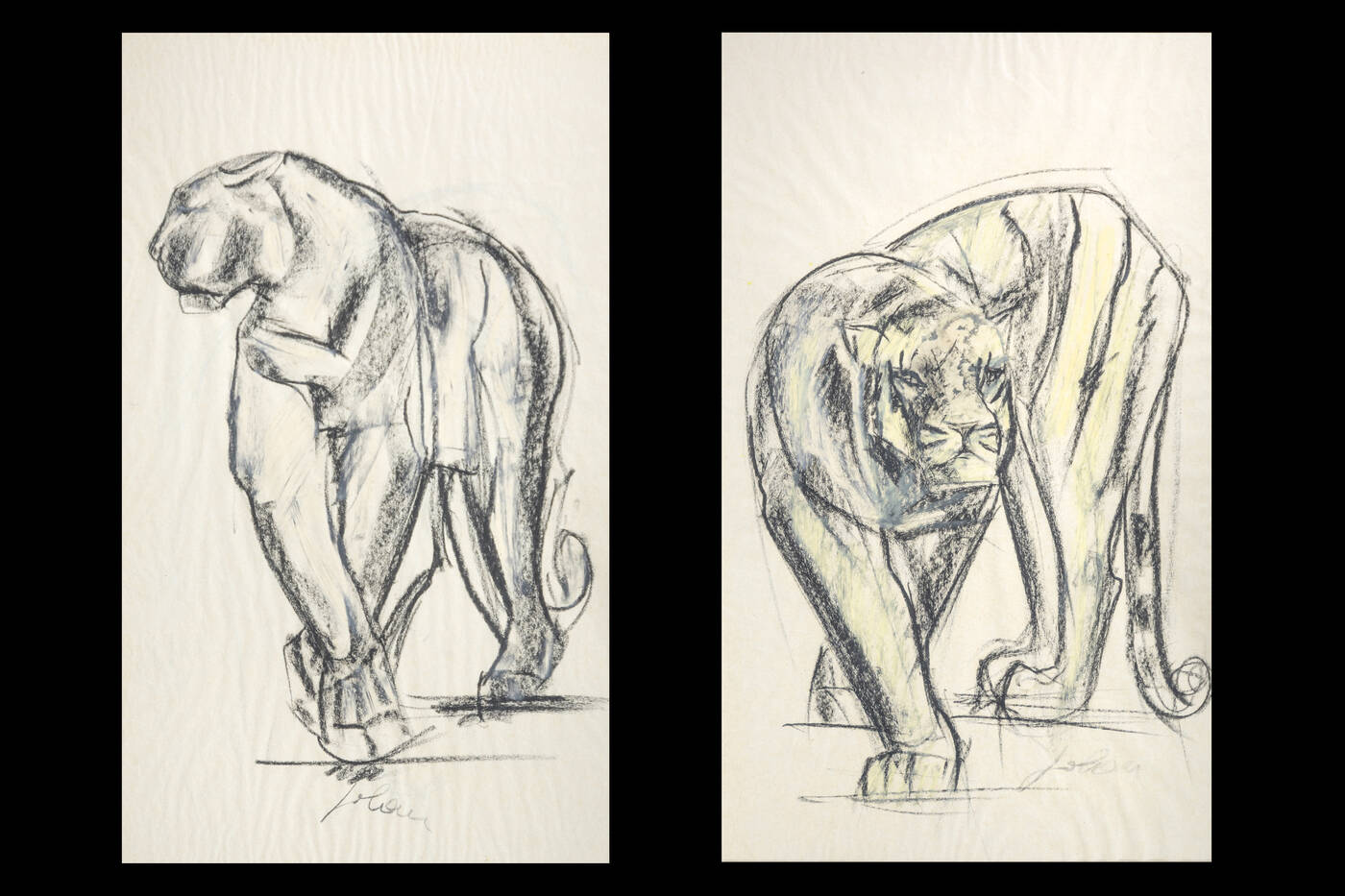 ETIENNETTE JOHAN - Lotto di due disegni rappresentanti:<br>A) 'Pantera'<br>B) 'Tigre'