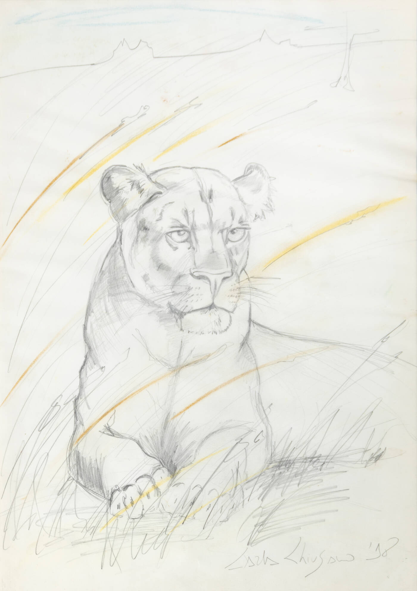 CARLA CHIUSANO - 'Tigre' 1998