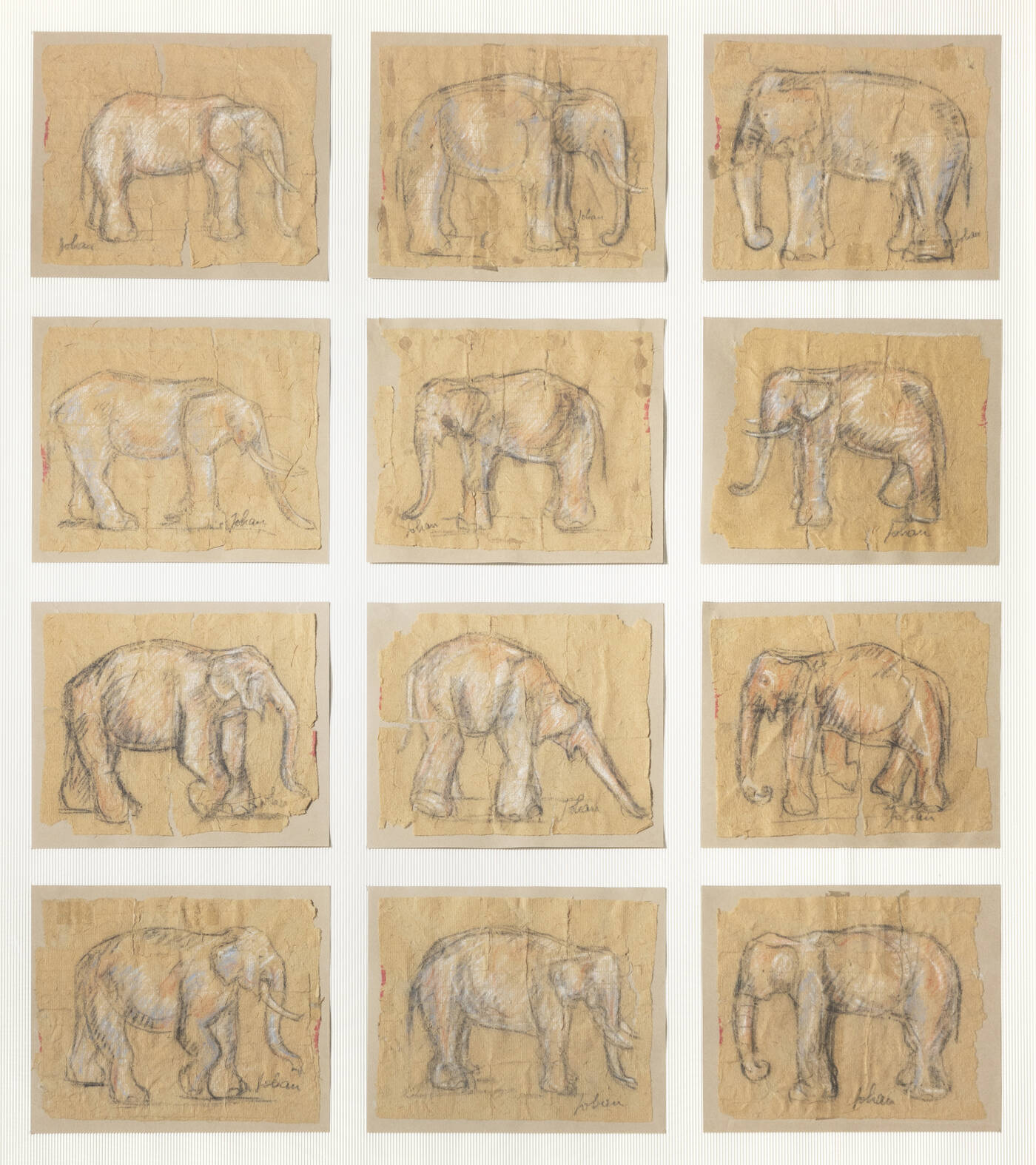 ETIENNETTE JOHAN - Lotto di 12 disegni 'Elephants'