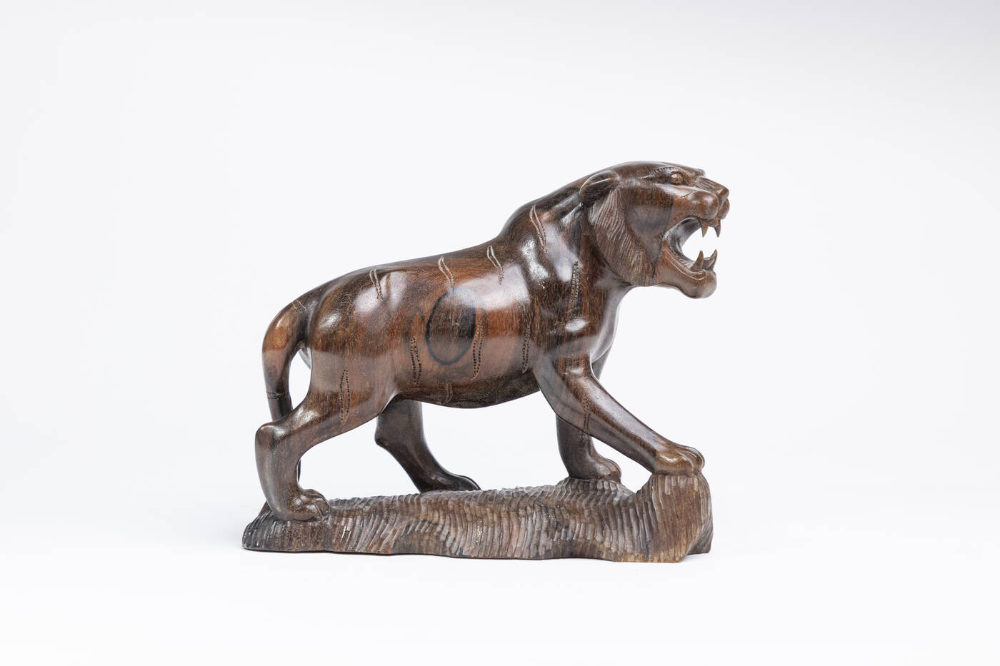 SCULTORE ANONIMO - 'Tigre'