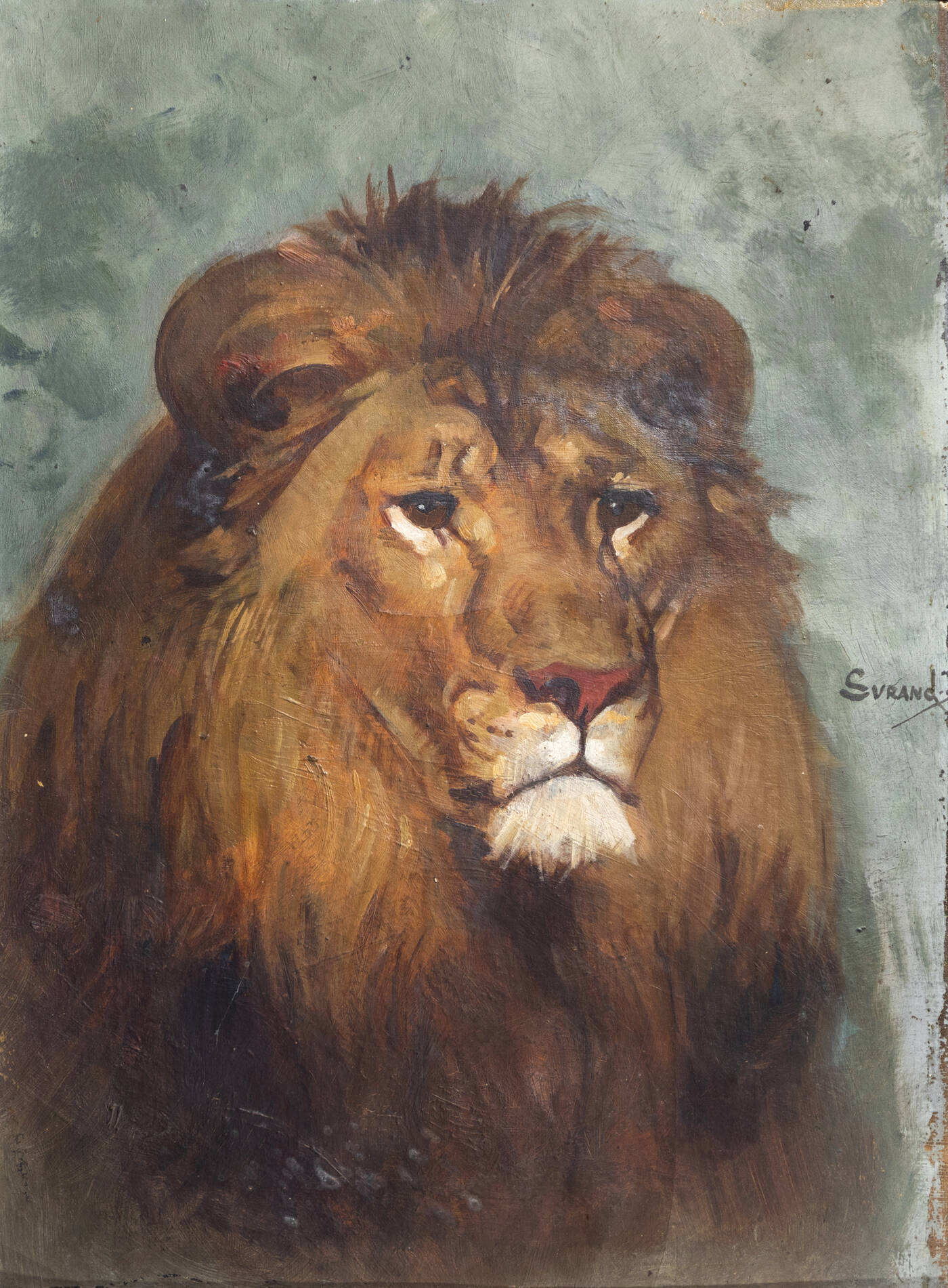 GUSTAVE SURAND - 'Leone'