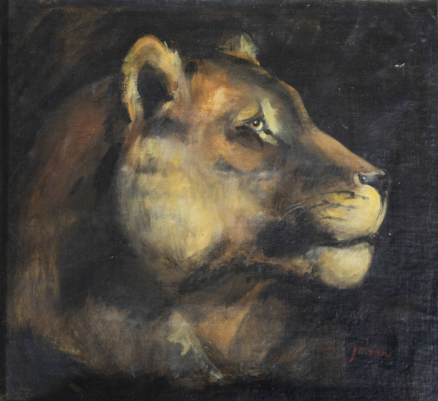 ETIENNETTE JOHAN - 'Profilo di leonessa'