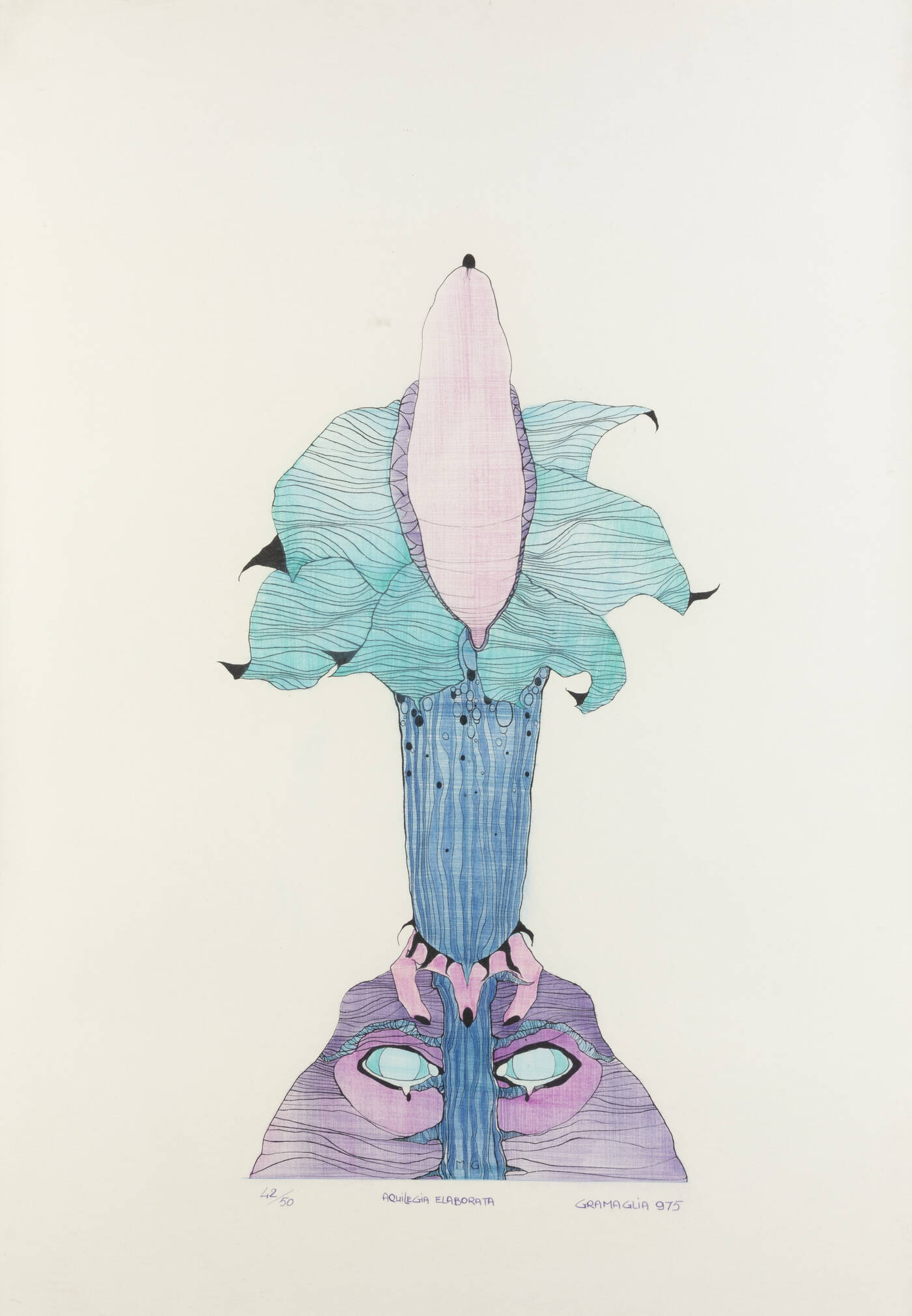 MARIO GRAMAGLIA - 'Aquilegia elaborata' 1975