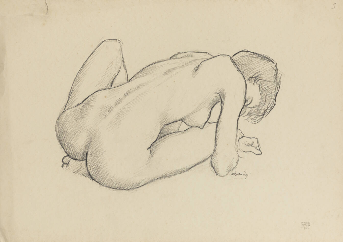 LORENZO ALESSANDRI - 'Capinera' 20/5/79