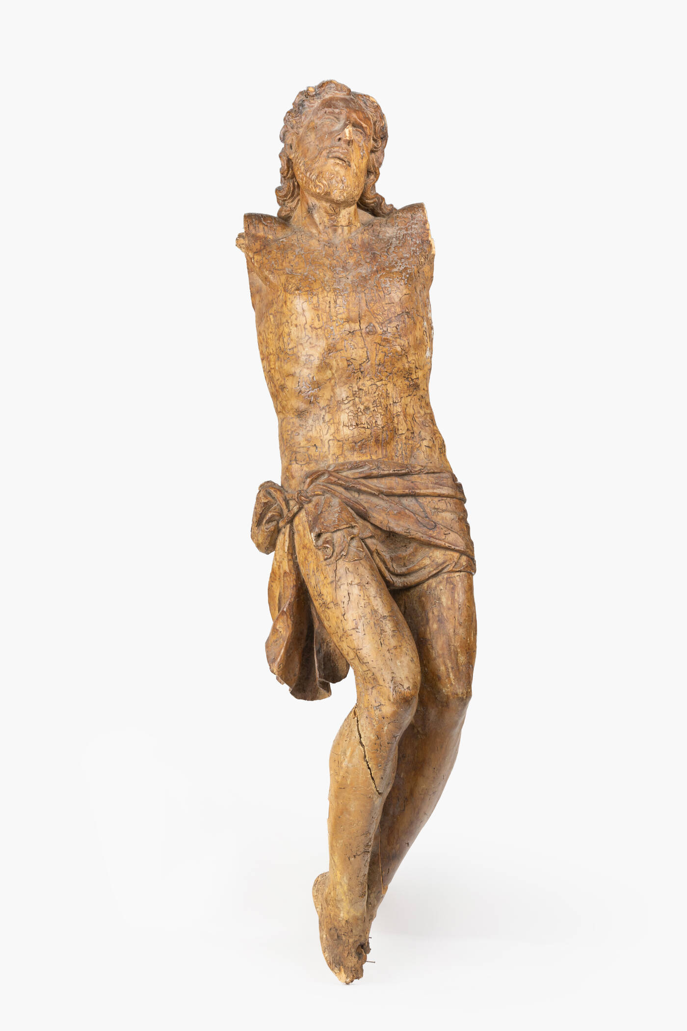 SCULTORE ANONIMO - 'Cristo Crocifisso' XVI secolo