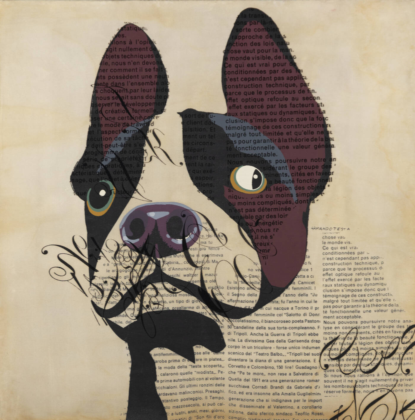 ARMANDO TESTA - 'Cane strabico'